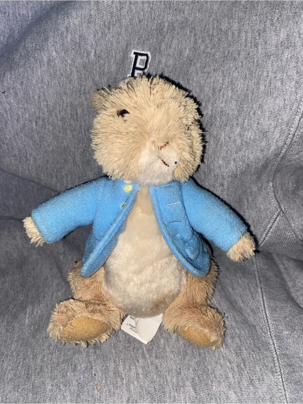 Peter rabbit  teddy bear